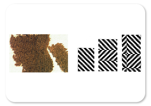 Vilnonio audinio fragmentas.